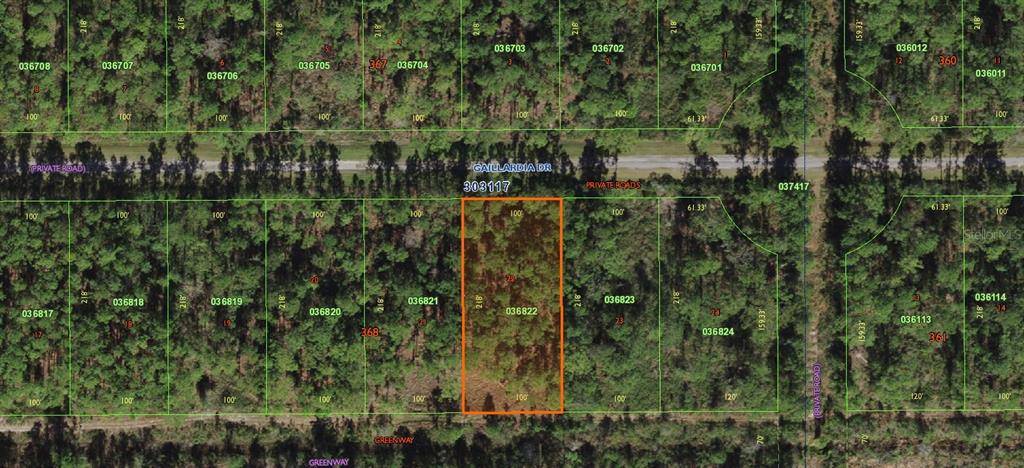 Indian Lake Estates, FL 33855,407 ORCHID DR