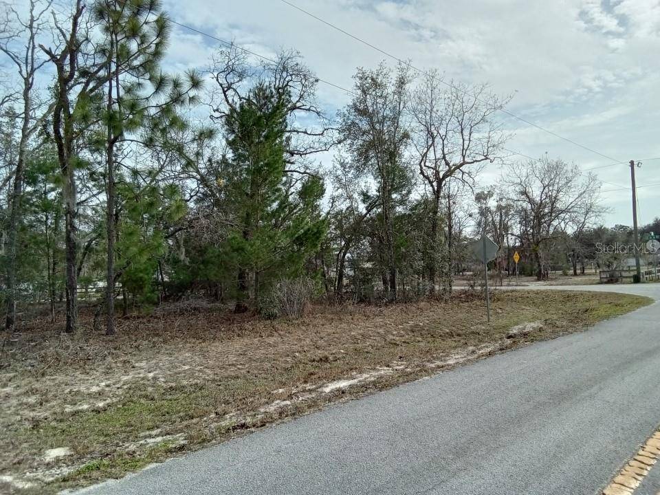 Summerfield, FL 34491,0 SE 91ST CT RD