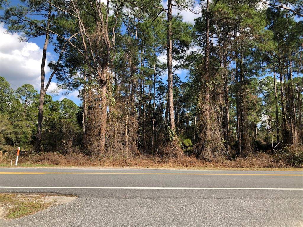 Eustis, FL 32736,LOT 1 ROYAL TRAILS RD