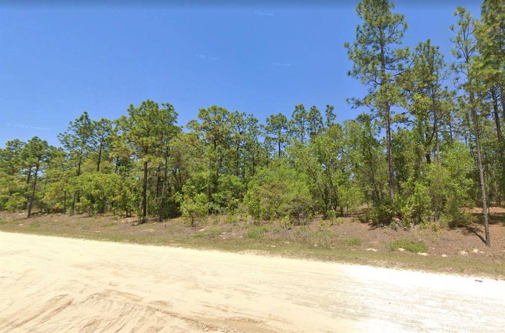 Dunnellon, FL 34432,13321 SW 89TH ST