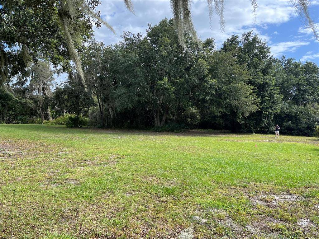 Lithia, FL 33547,0 BROWNING RD