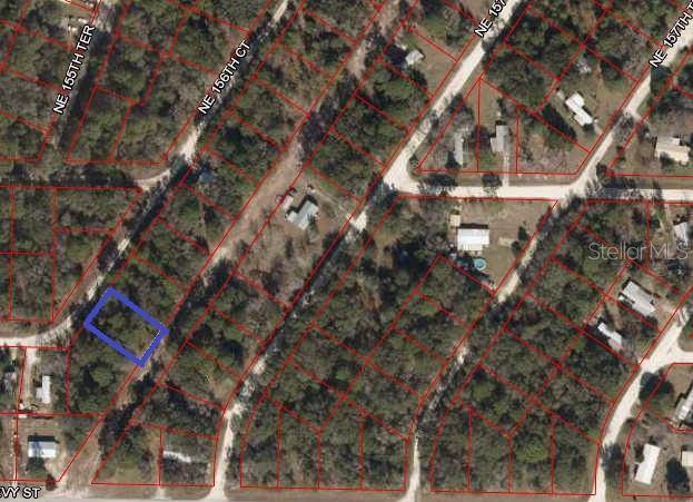 Williston, FL 32696,NE 157 AVE