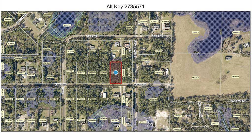 Eustis, FL 32736,Lot 7 QUINCE AVE