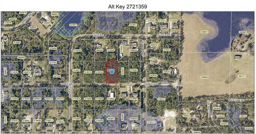 Eustis, FL 32736,Lot 8 QUINCE AVE