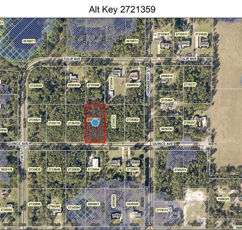 Eustis, FL 32736,Lot 8 QUINCE AVE