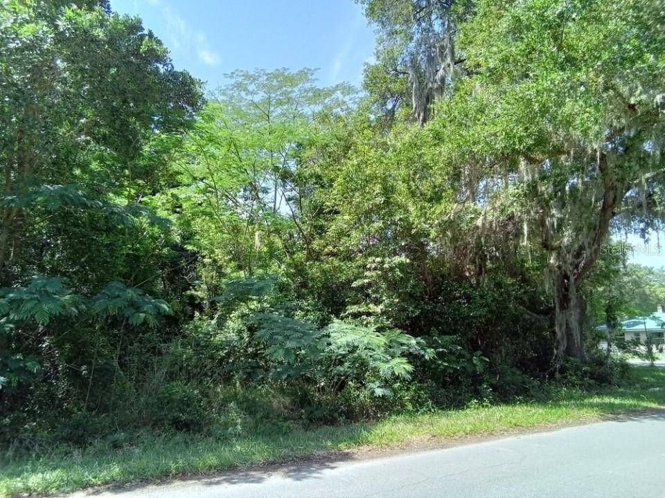 Summerfield, FL 34491,4240 SE 138TH ST