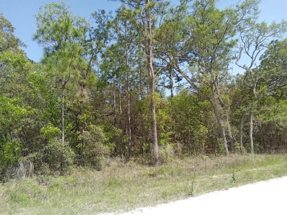 Dunnellon, FL 34432,0 SW 121ST TERRACE RD