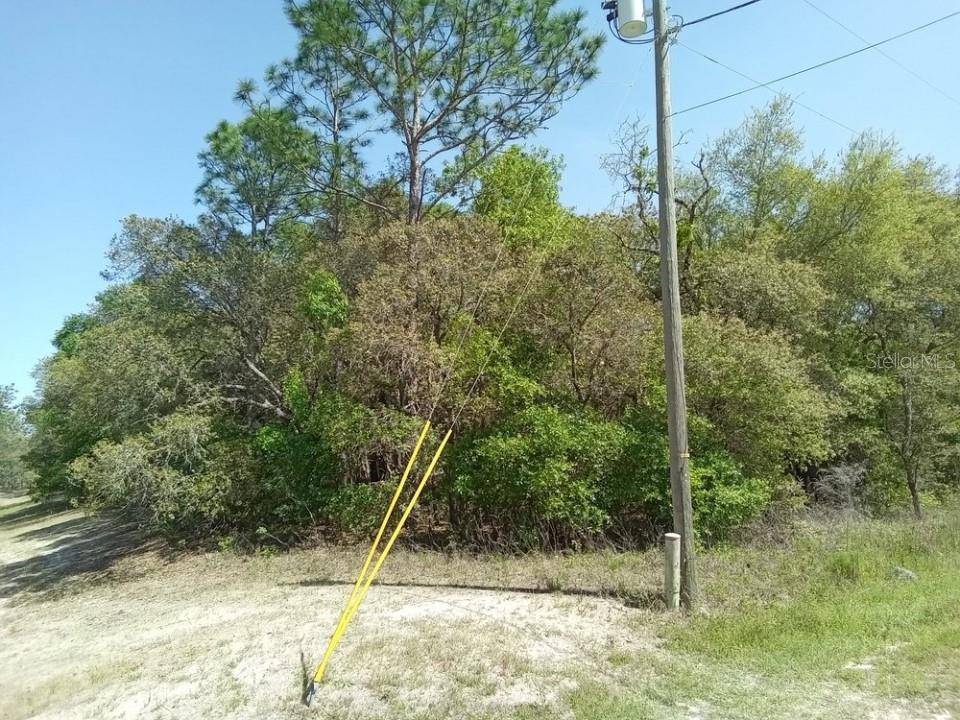 Dunnellon, FL 34432,0 SW 121ST TERRACE RD