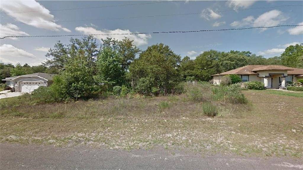 Citrus Springs, FL 34433,8250 N DANDELION WAY