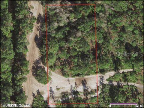 Saint Cloud, FL 34771,HOLOPAW GROVES RD