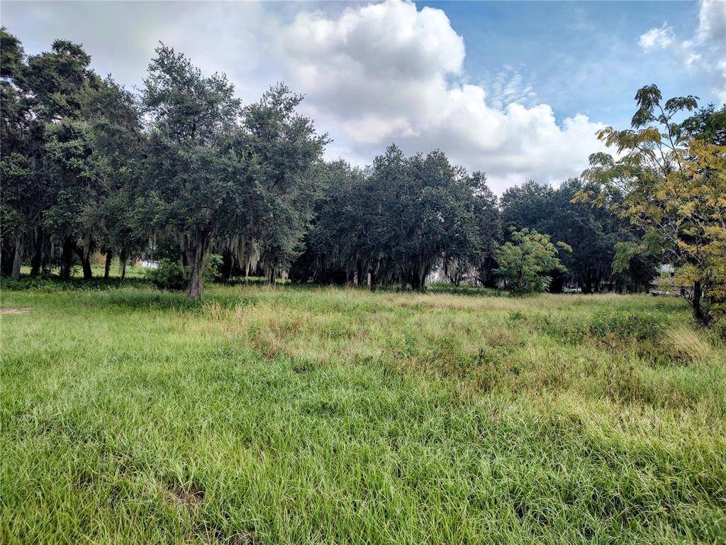 Grand Island, FL 32735,COUNTY ROAD 452