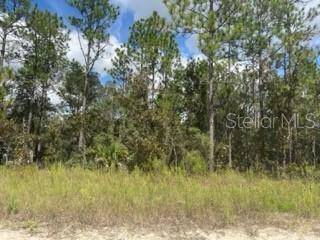 Dunnellon, FL 34432,LOT 7 SW 91ST LN