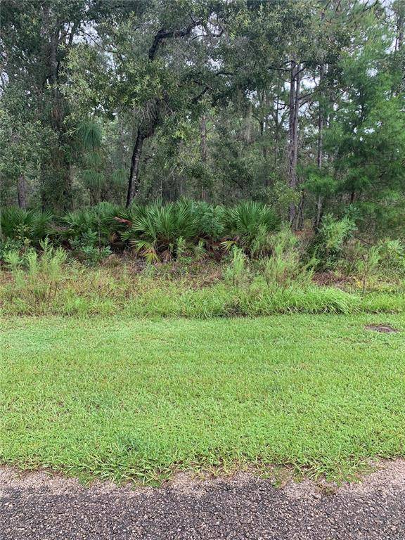 Citrus Springs, FL 34434,9367 N KIRKLAND TER