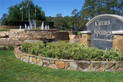 Citrus Springs, FL 34434,9367 N KIRKLAND TER