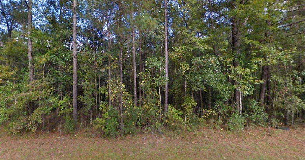Chipley, FL 32428,GREENVIEW DR