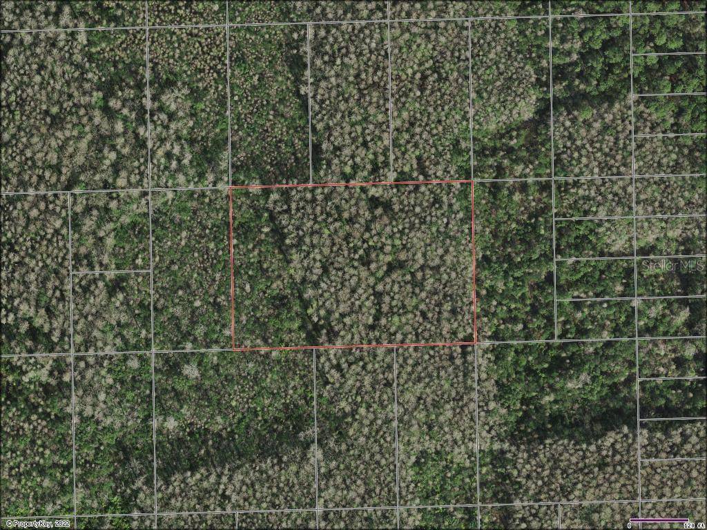 Saint Cloud, FL 34771,0 HOLOPAW GROVES RD