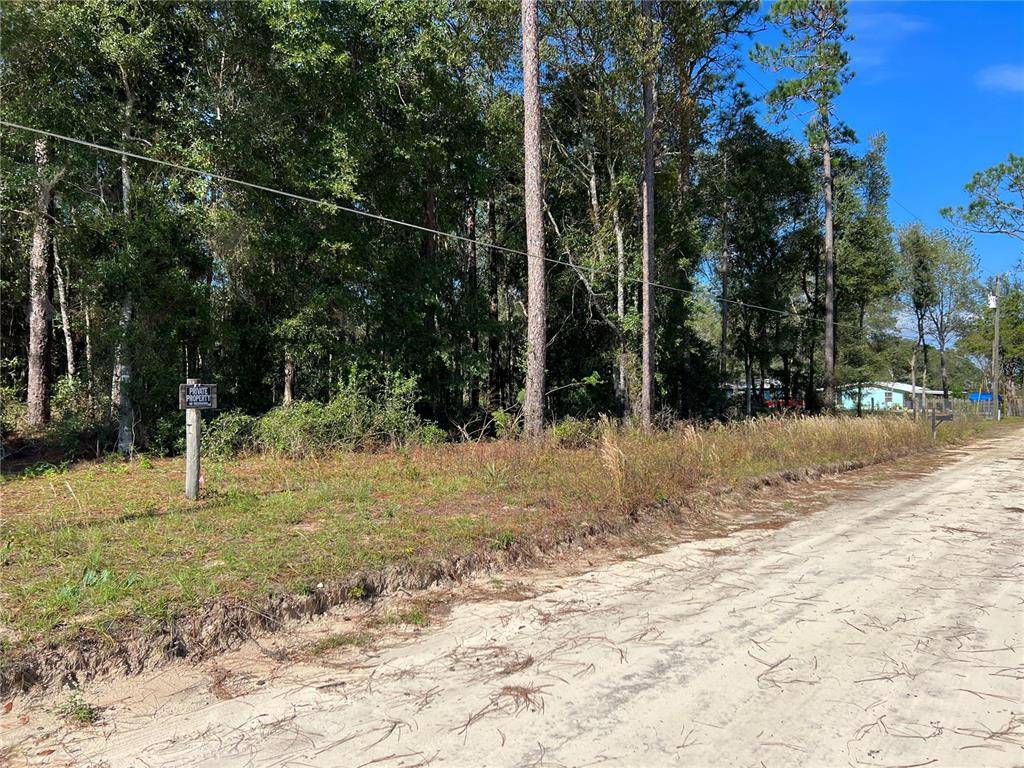 Williston, FL 32696,NE 140TH CT