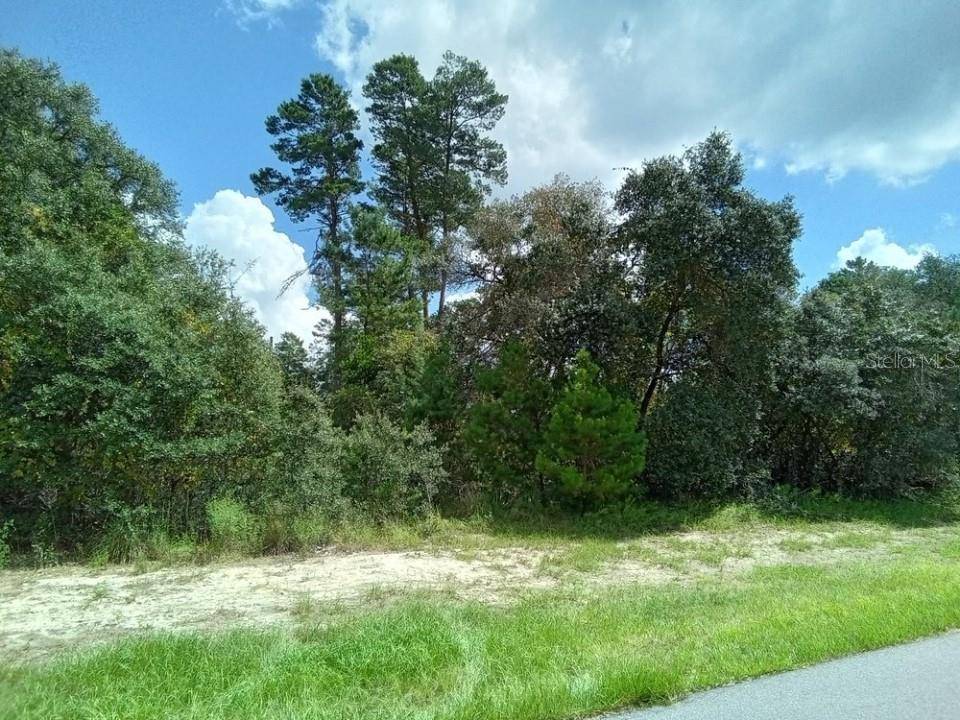 Ocala, FL 34473,0 SW 37TH TER