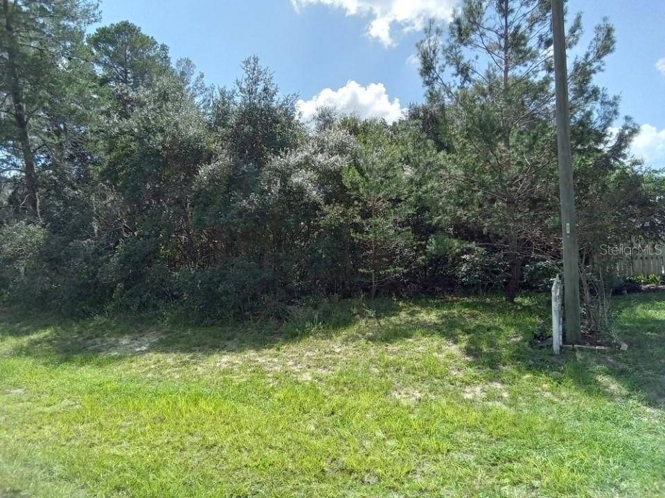 Ocala, FL 34473,0 SW 170TH ST