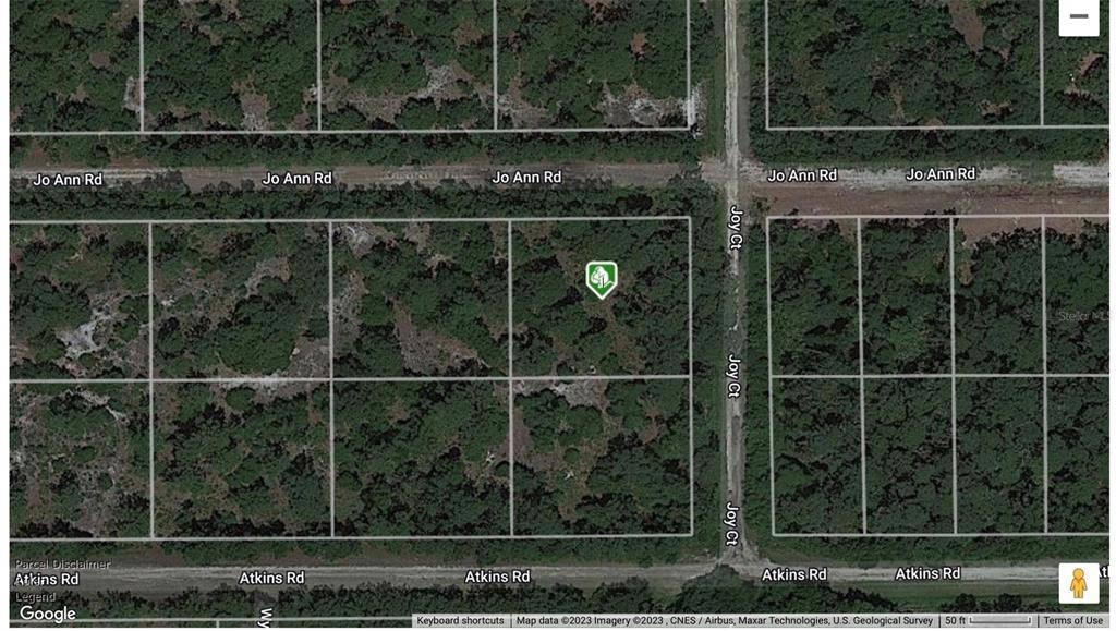 Georgetown, FL 32139,141 JO ANN RD