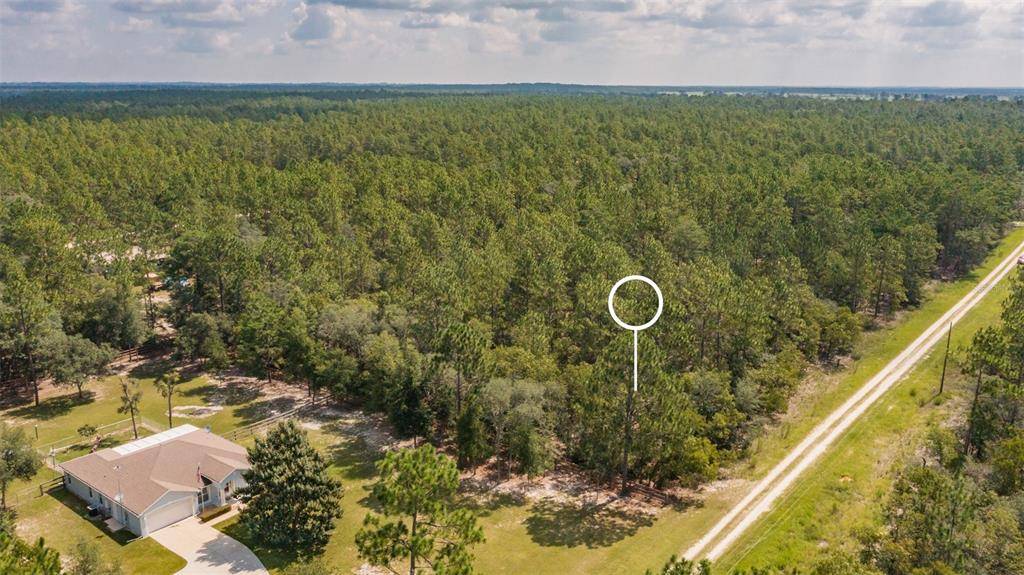 Dunnellon, FL 34432,TBD SW 78TH PL