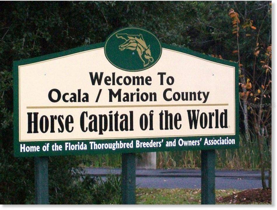 Ocala, FL 34476,00 SW 69TH COURT RD