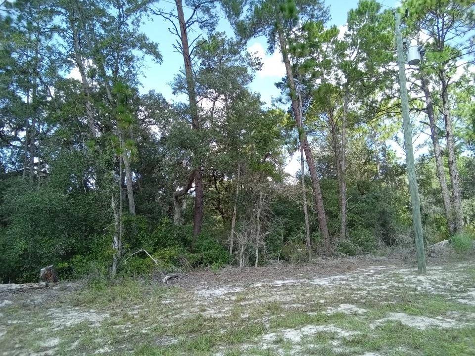 Ocala, FL 34476,00 SW 69TH COURT RD