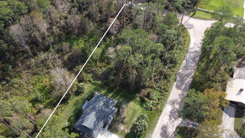 New Smyrna Beach, FL 32168,875 TWISTED PINE DR