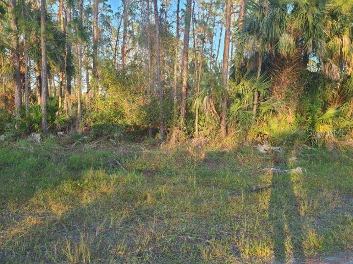 North Port, FL 34286,LOT 49 ELDRON AVE