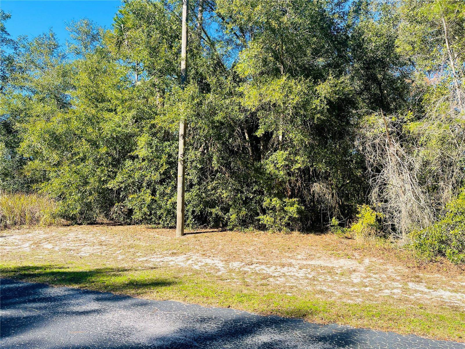 Silver Springs, FL 34488,Lot 8 NE 6TH PL