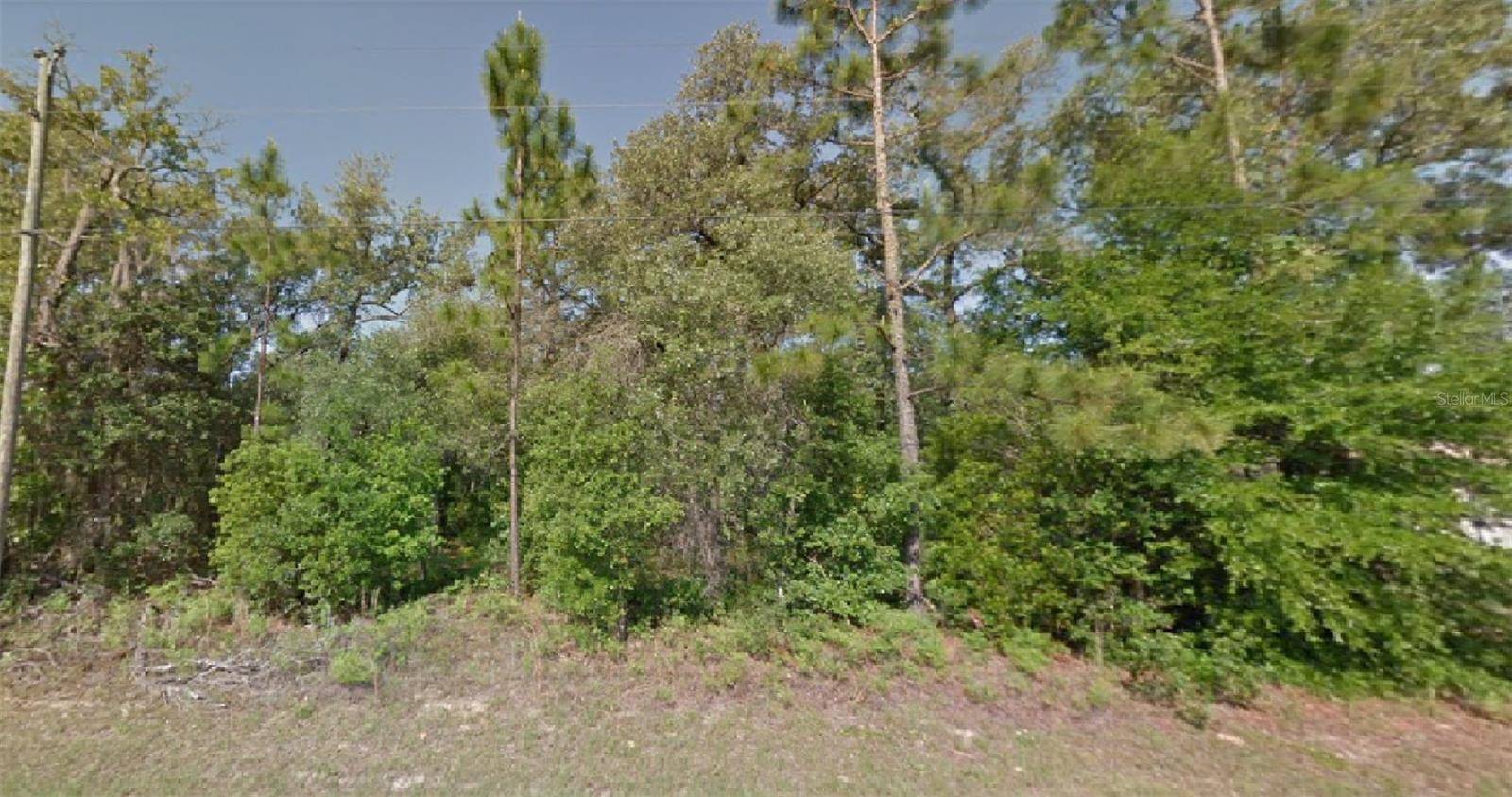 Citrus Springs, FL 34433,8664 N TEMPEST DR