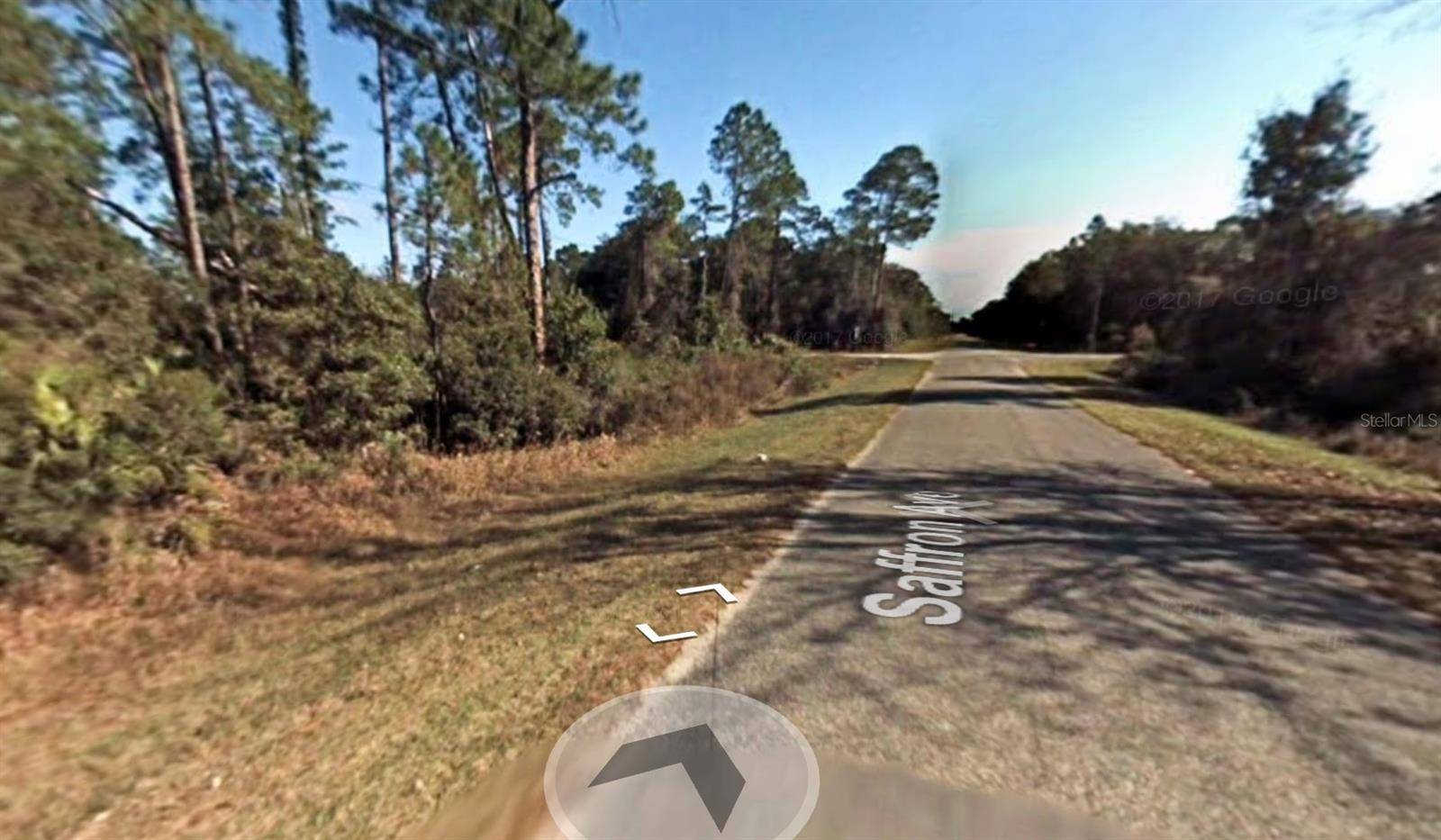 Eustis, FL 32736,0 CASHEW ST