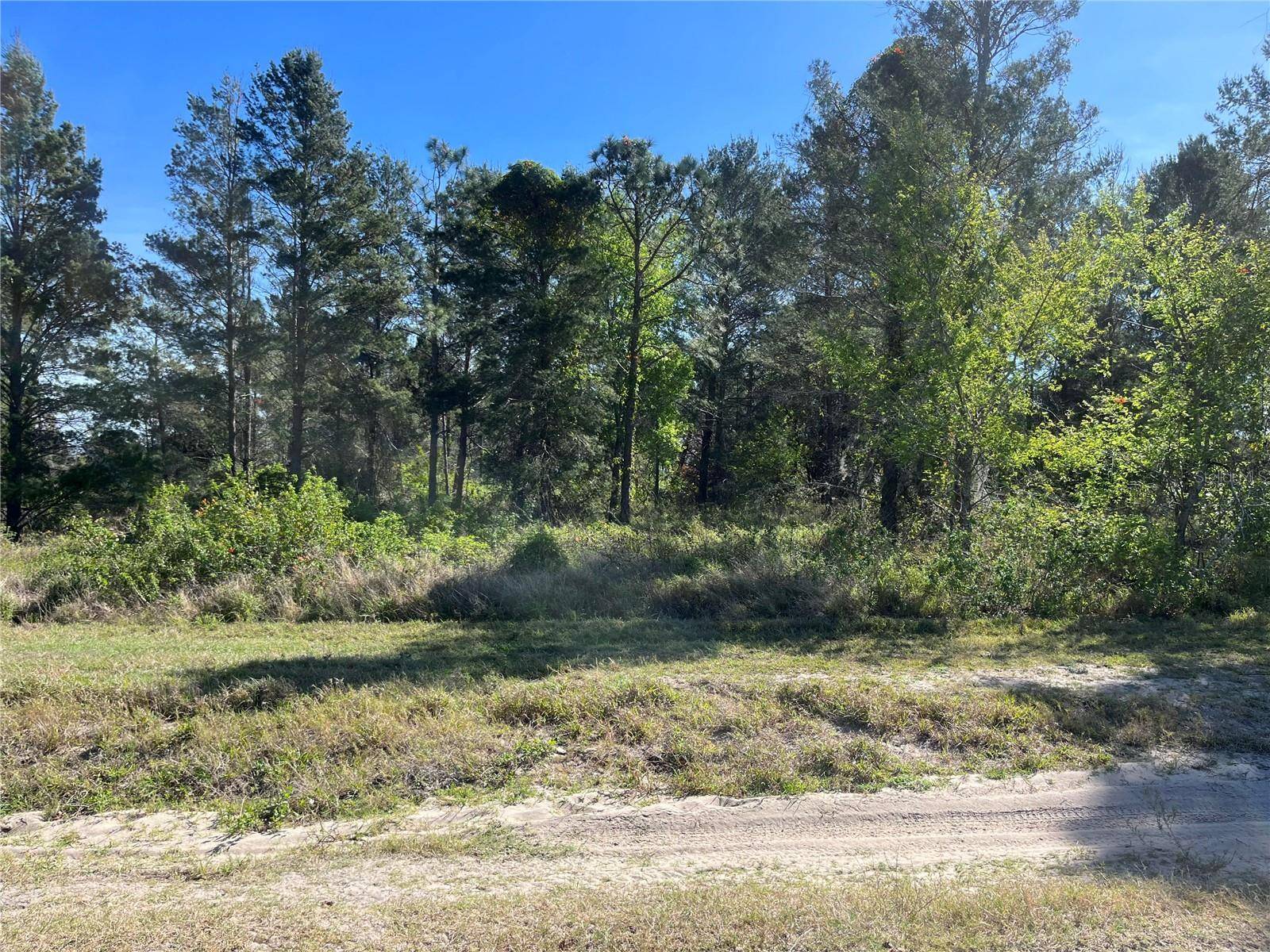 Dunnellon, FL 34432,00 SW 151ST PL