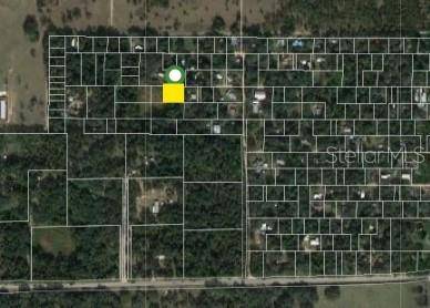 Umatilla, FL 32784,SE 155TH PL