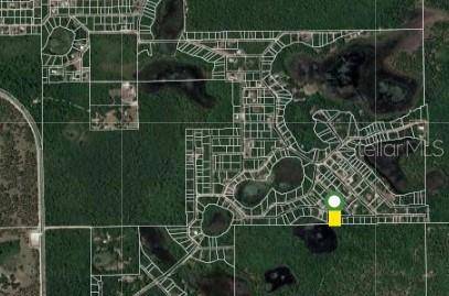 Umatilla, FL 32784,SE 149TH LN