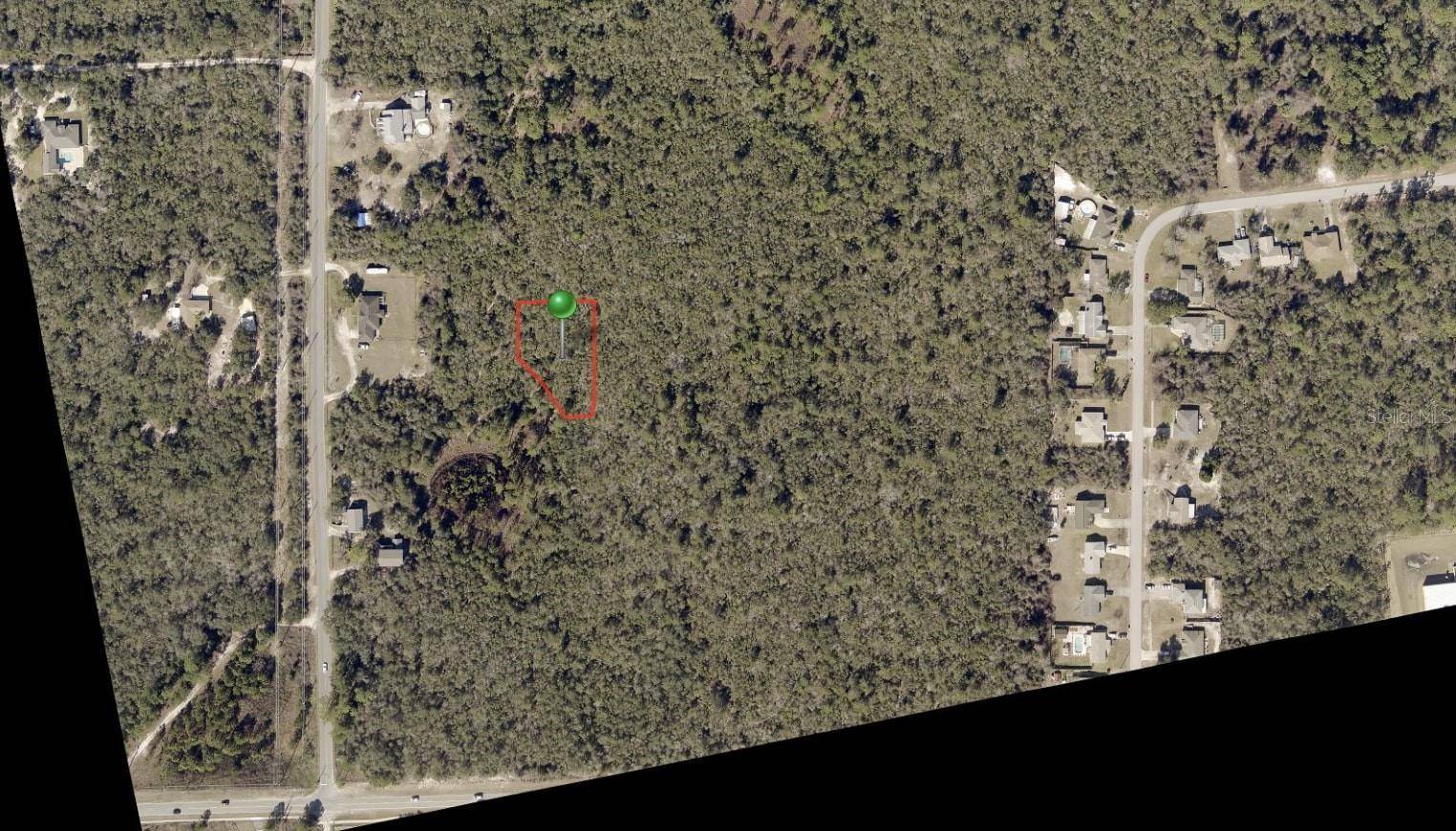 Deltona, FL 32738,DAISY PAPER ST