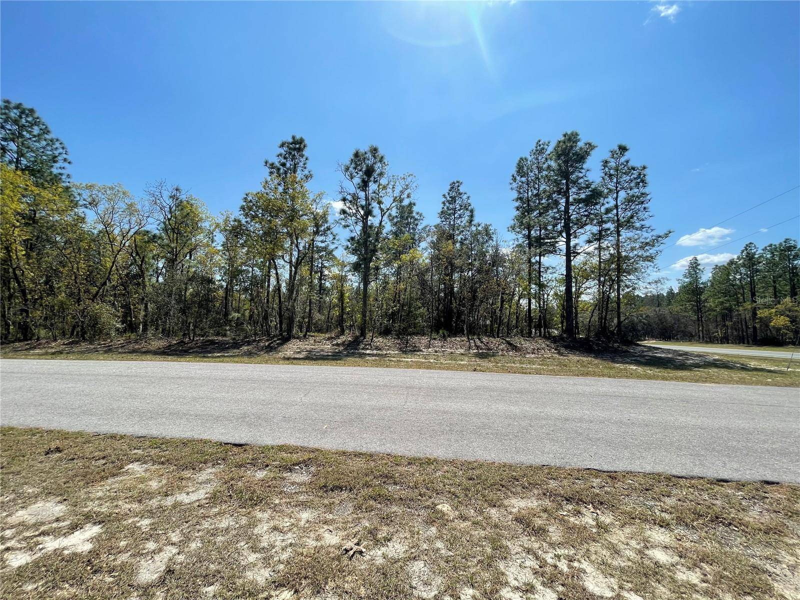 Ocala, FL 34473,TBD SW 139TH STREET ROAD