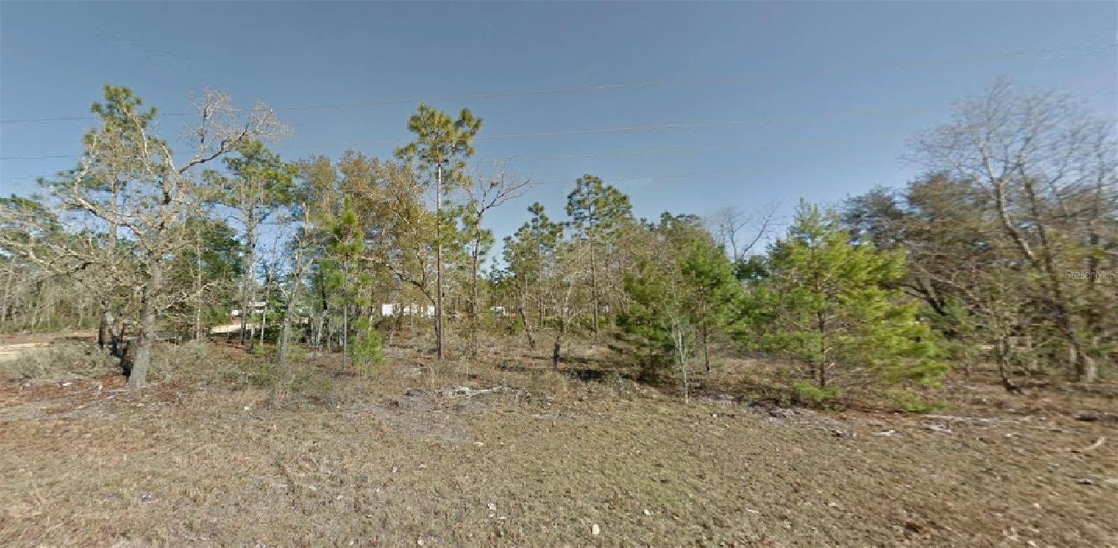 Interlachen, FL 32148,PATCH ST