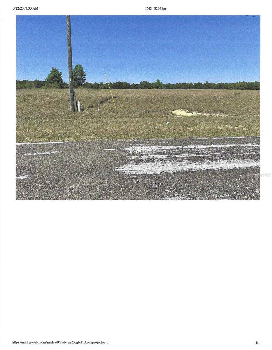 Groveland, FL 34736,HAMMOCK GROVE RD