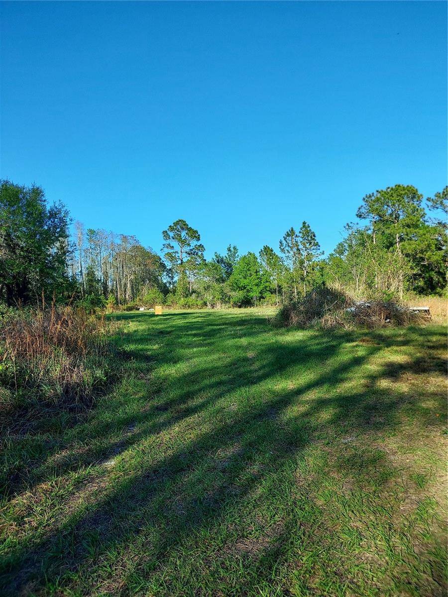 Geneva, FL 32732,00 E OSCEOLA RD