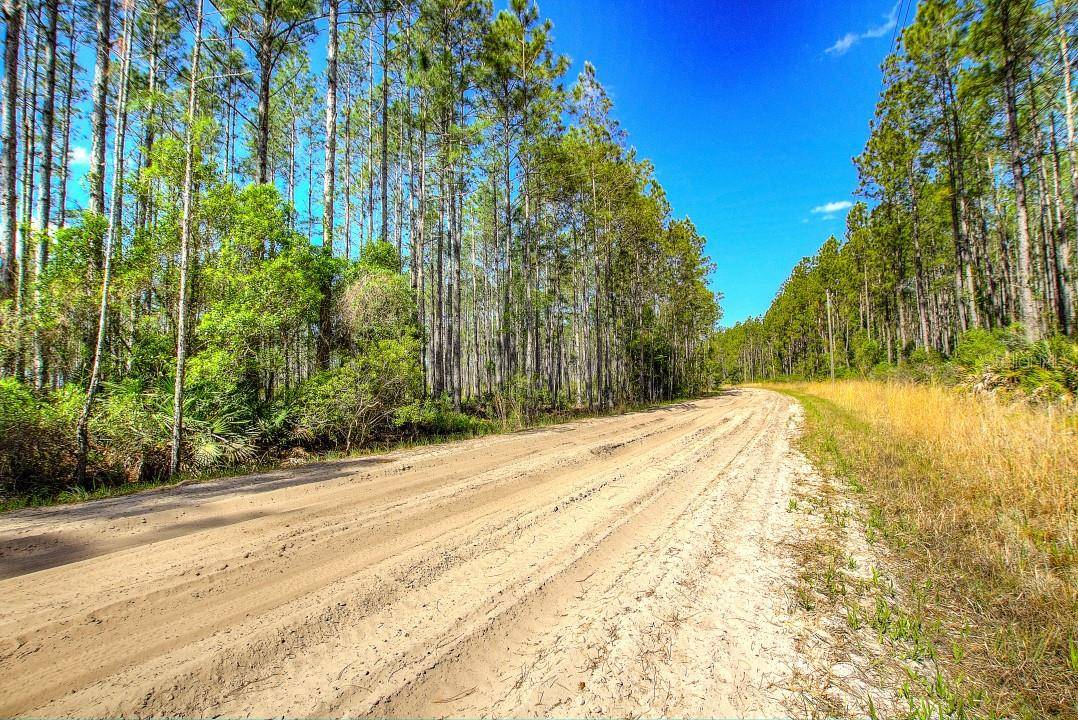 Chiefland, FL 32626,0 CLYATT RD