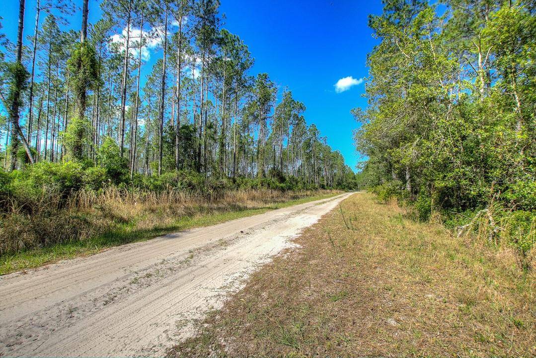 Chiefland, FL 32626,0 NW CANNON RD