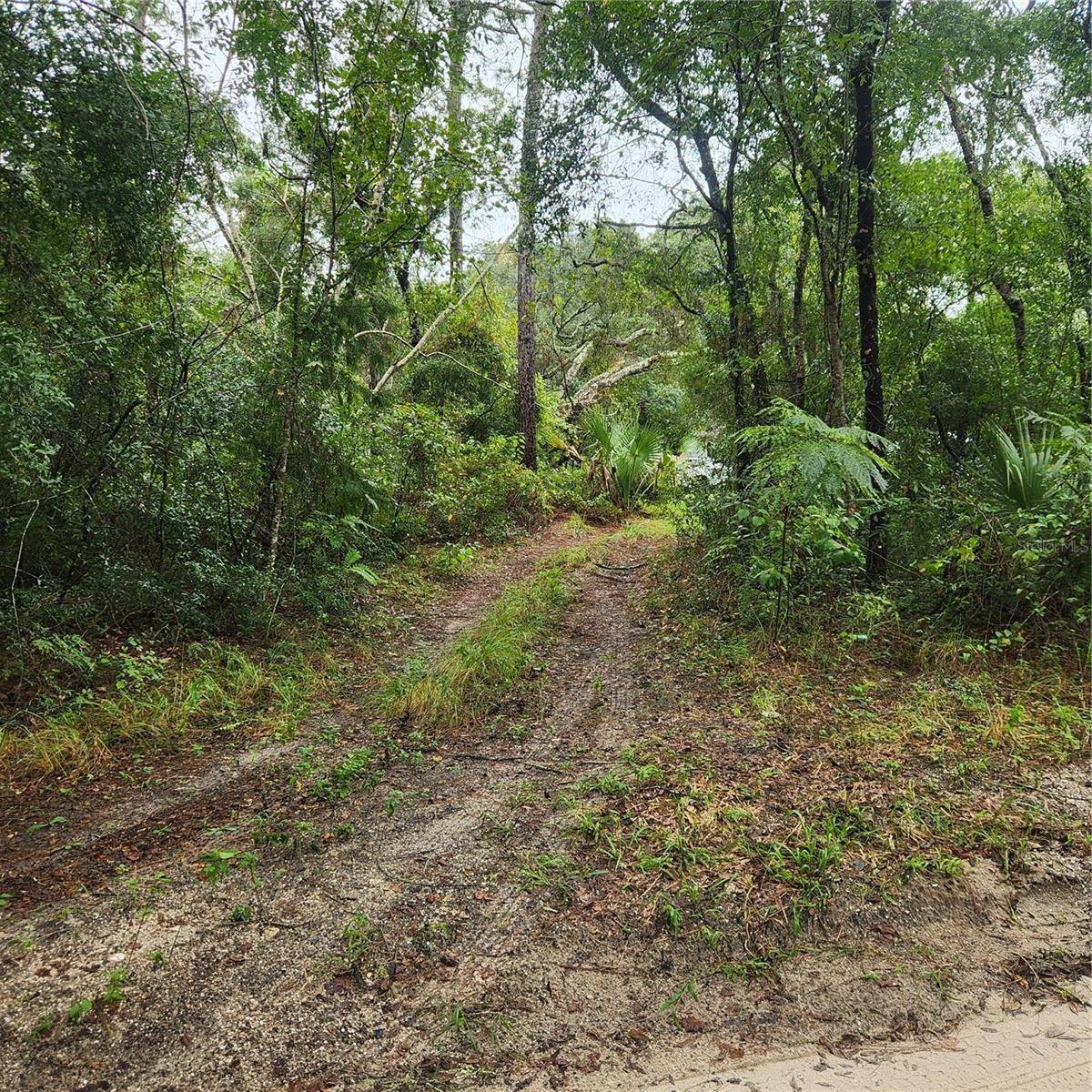Deland, FL 32720,0 GARDEN ST