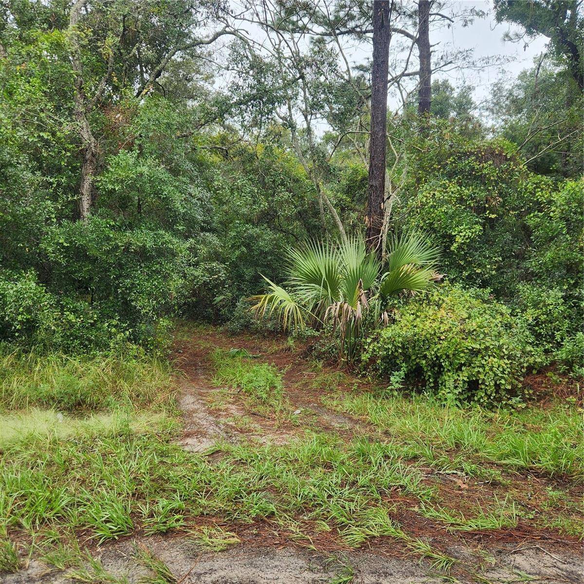 Deland, FL 32720,0 GARDEN ST