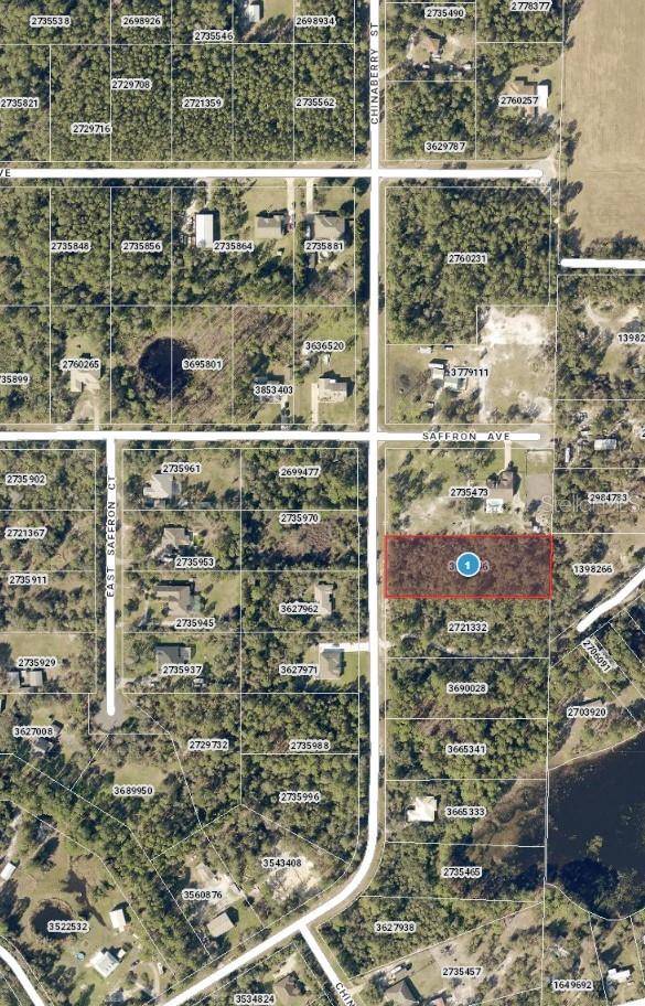 Eustis, FL 32736,CHINABERRY ST