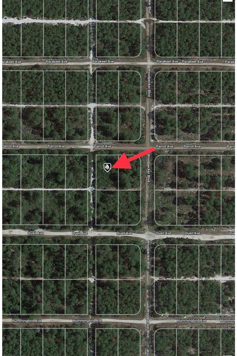 Sebring, FL 33872,509 PARROT AVE