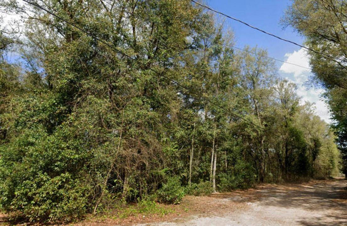 Umatilla, FL 32784,19851 SE 156TH ST