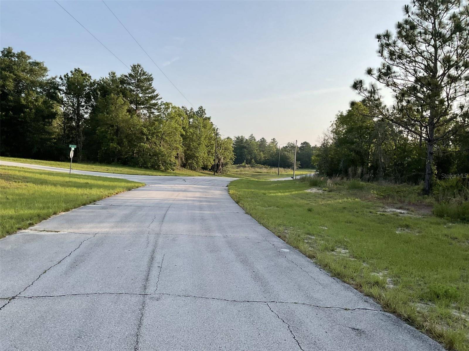 Dunnellon, FL 34432,SW 85TH CT