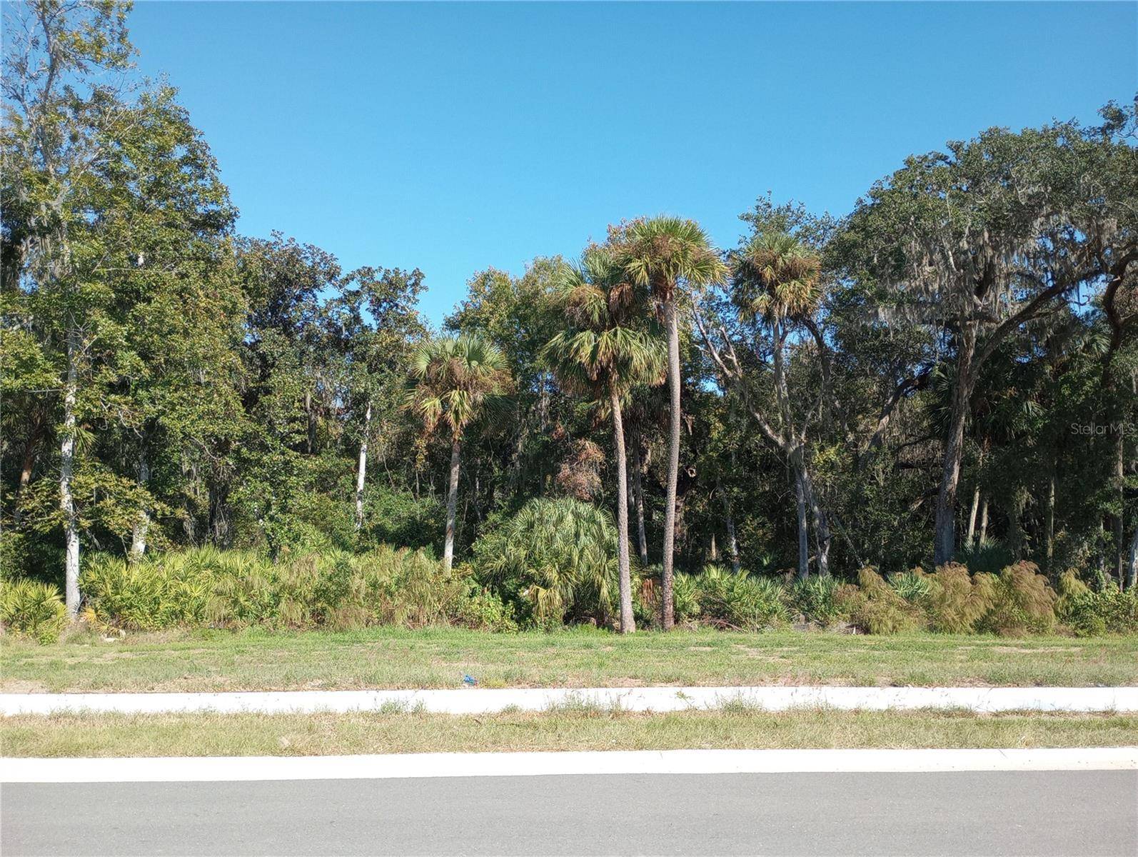 Palm Coast, FL 32137,114 NEW LEATHERWOOD DR