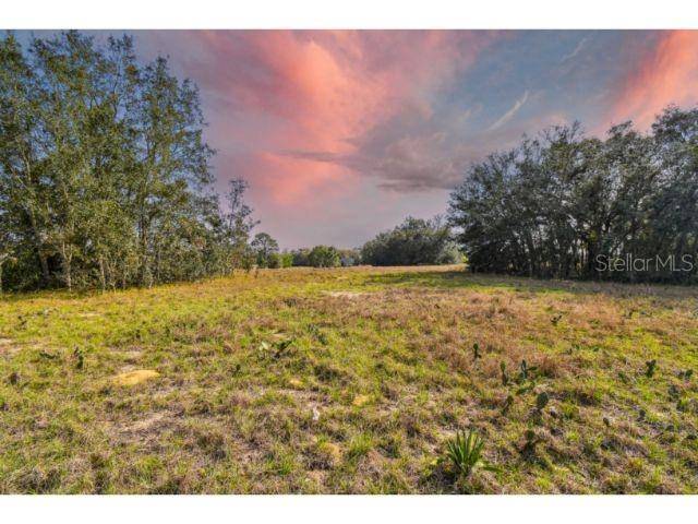 Tavares, FL 32778,FENCE POST DR #LOT #5